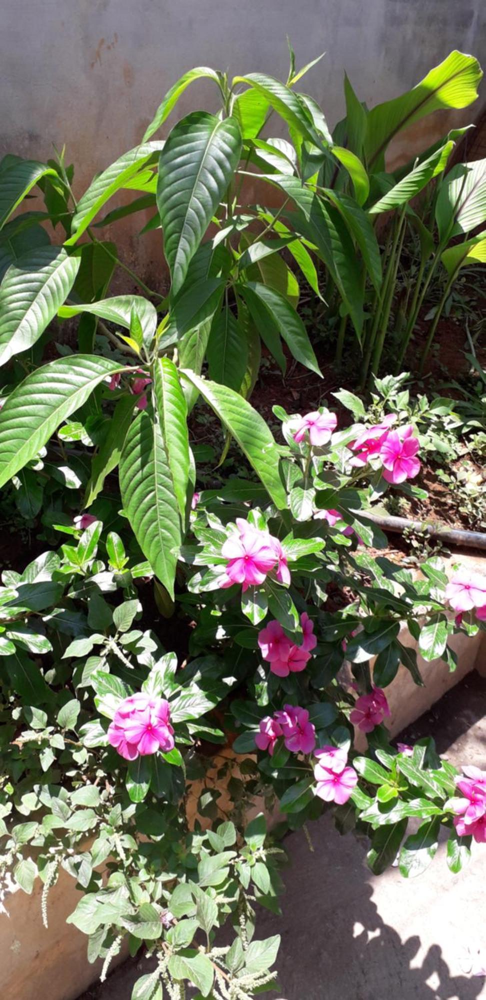 טקאדי Spice Cottage Homestay מראה חיצוני תמונה