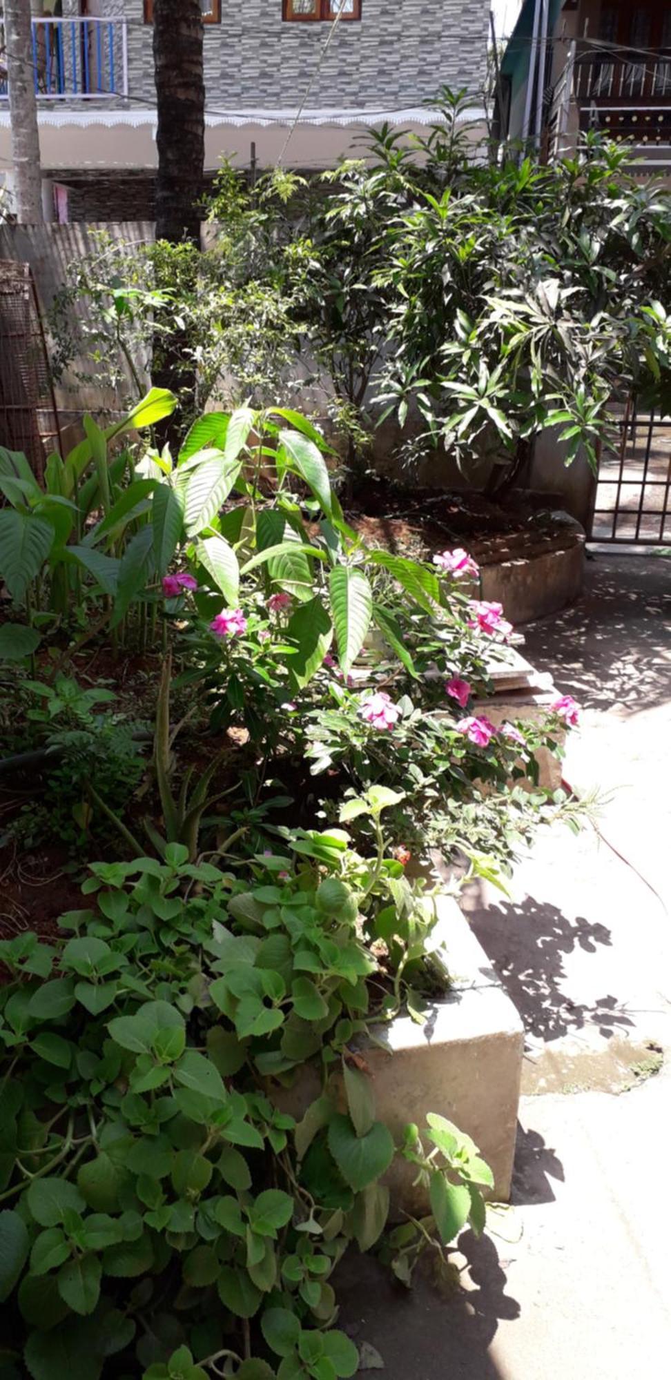 טקאדי Spice Cottage Homestay מראה חיצוני תמונה