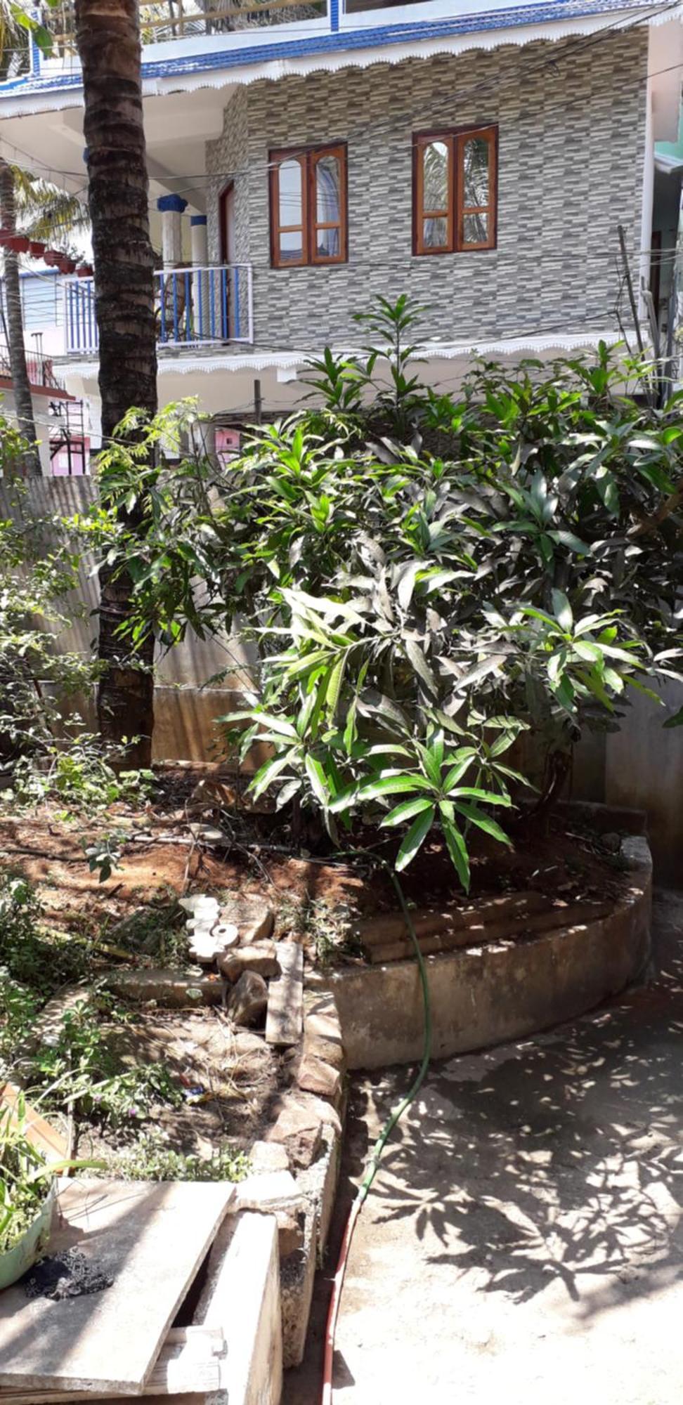 טקאדי Spice Cottage Homestay מראה חיצוני תמונה